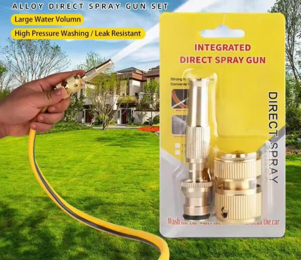 Direct Spray Gun